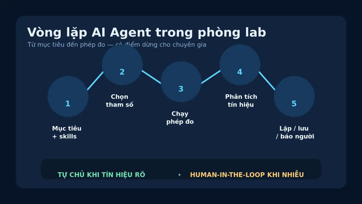 Vòng lặp năm bước của AI Agent trong phép đo chip lượng tử