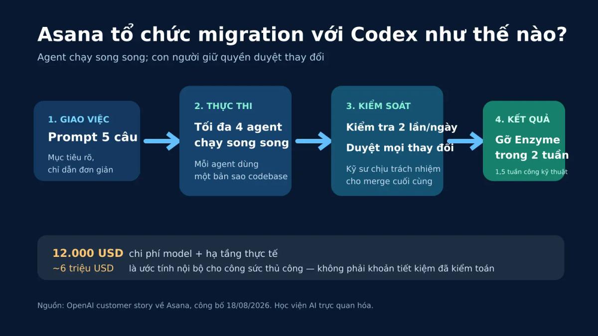 Quy trình Asana dùng Codex cho migration Enzyme với bốn agent và kỹ sư duyệt thay đổi
